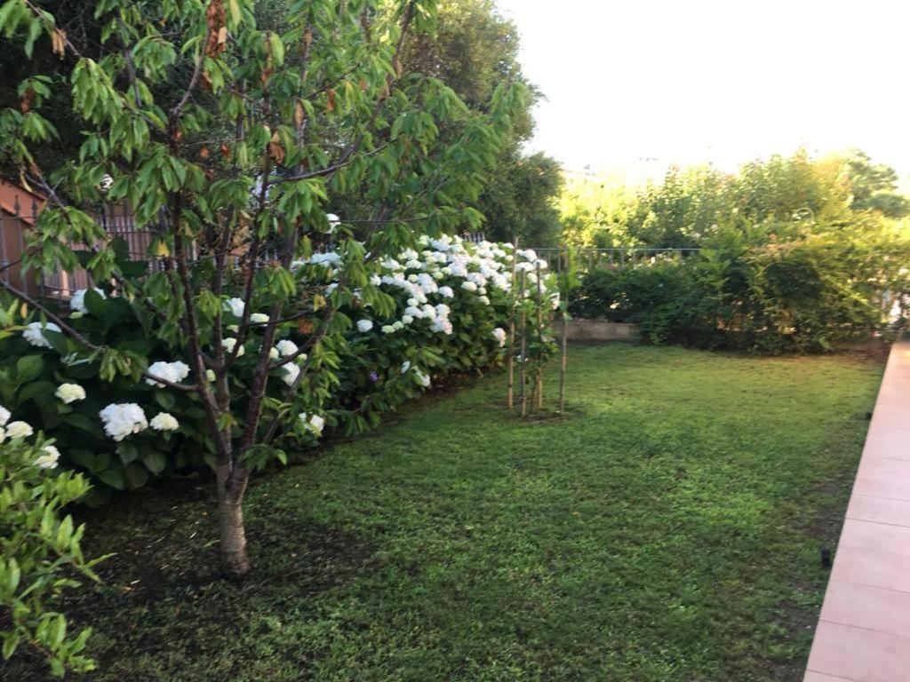 Casa Vacanza Ortensia San Teodoro  Esterno foto